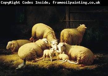 unknow artist Sheep 062